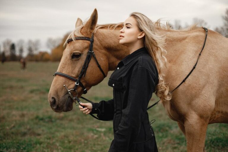 CBD for Horses: Exploring Potential Benefits for Equine Health