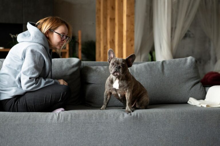 🐶 Using CBD Oil to Reduce Separation Anxiety in Dogs