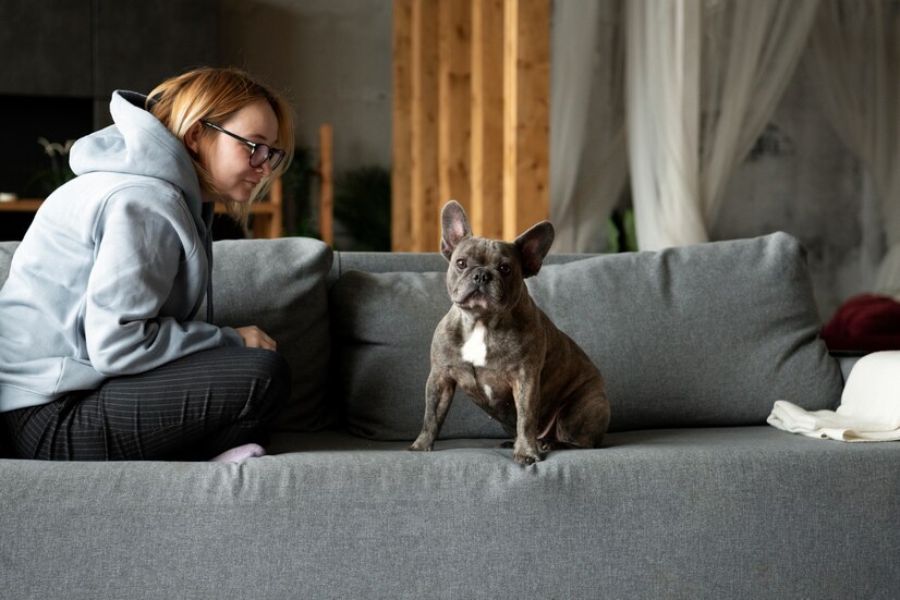 🐶 Using CBD Oil to Reduce Separation Anxiety in Dogs