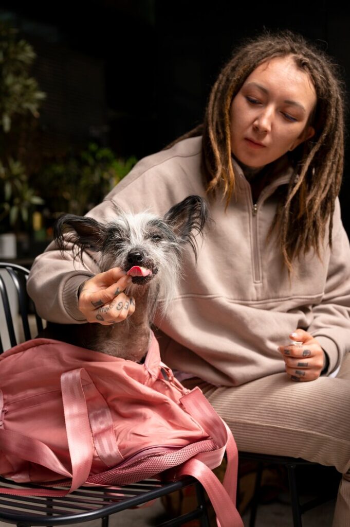 CBD for Other Animals: Cats, Rabbits, and More
