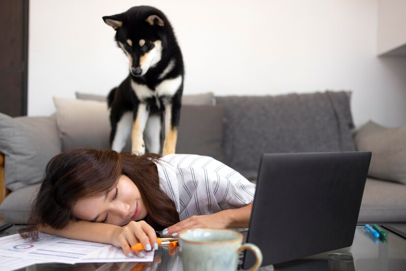 Anxiety in Dogs 🐶 Using CBD Oil to Reduce Separation