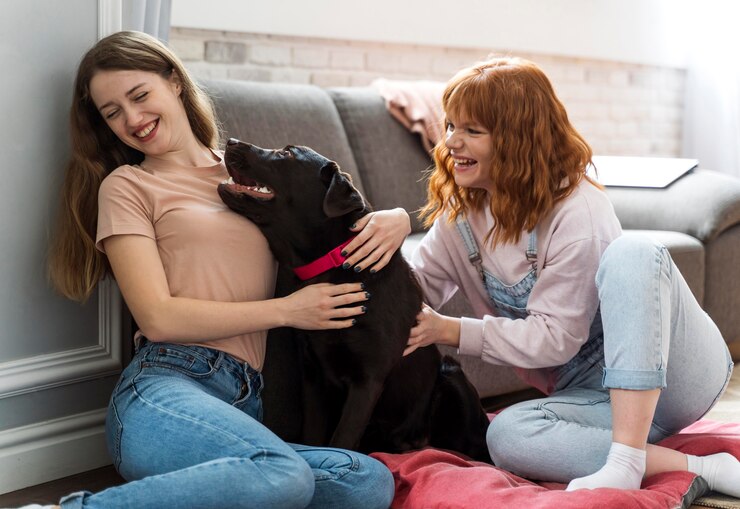 CBD for Pets with Anxiety: Calming Nervous Animals