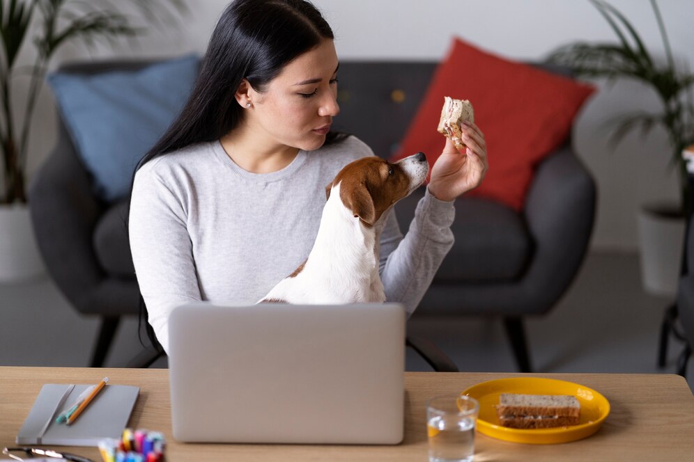 CBD for Other Animals: Cats, Rabbits, and More
