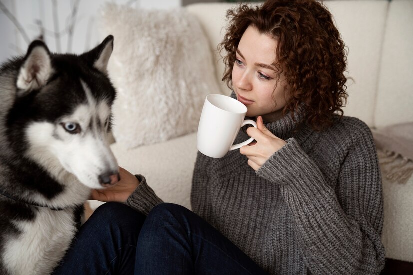 Anxiety in Dogs 🐶 Using CBD Oil to Reduce Separation
