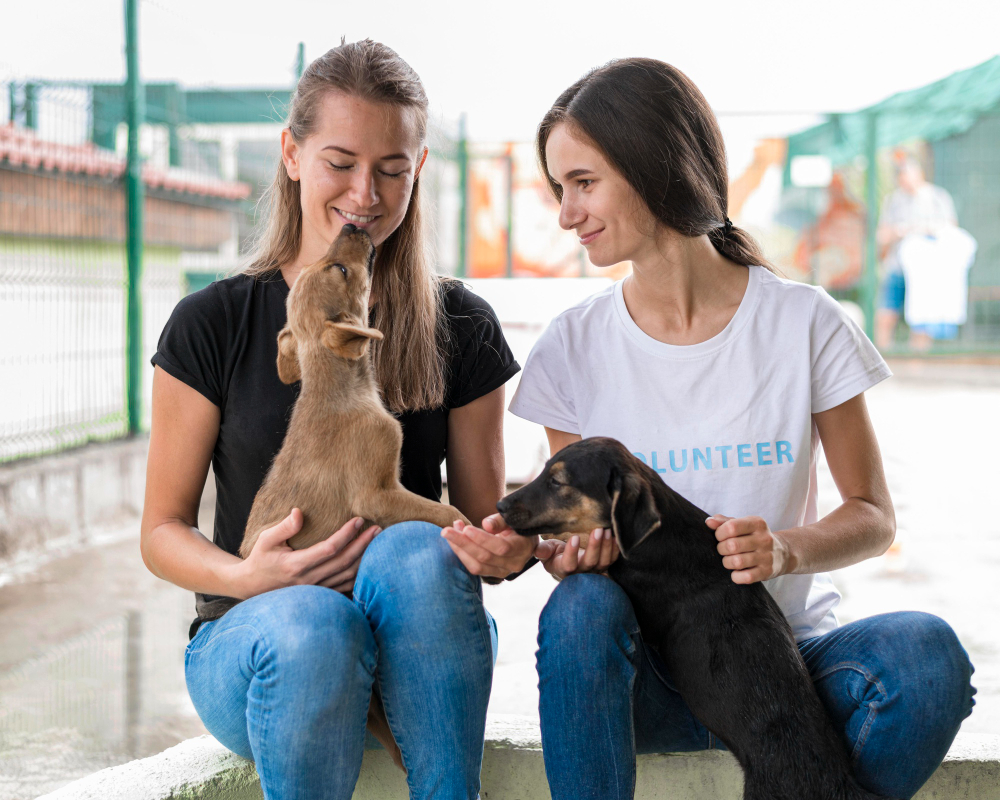 š¾ CBD for Pet Owners: Products That Support You and Your Dog