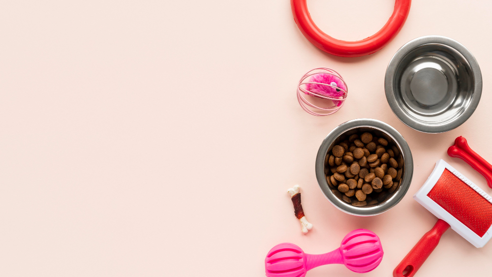 š¾ Best CBD Pet Products for Travel Stress Relief