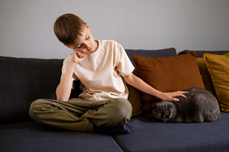 🐾 Top CBD Products for Cats with Anxiety: Natural Relief That Works