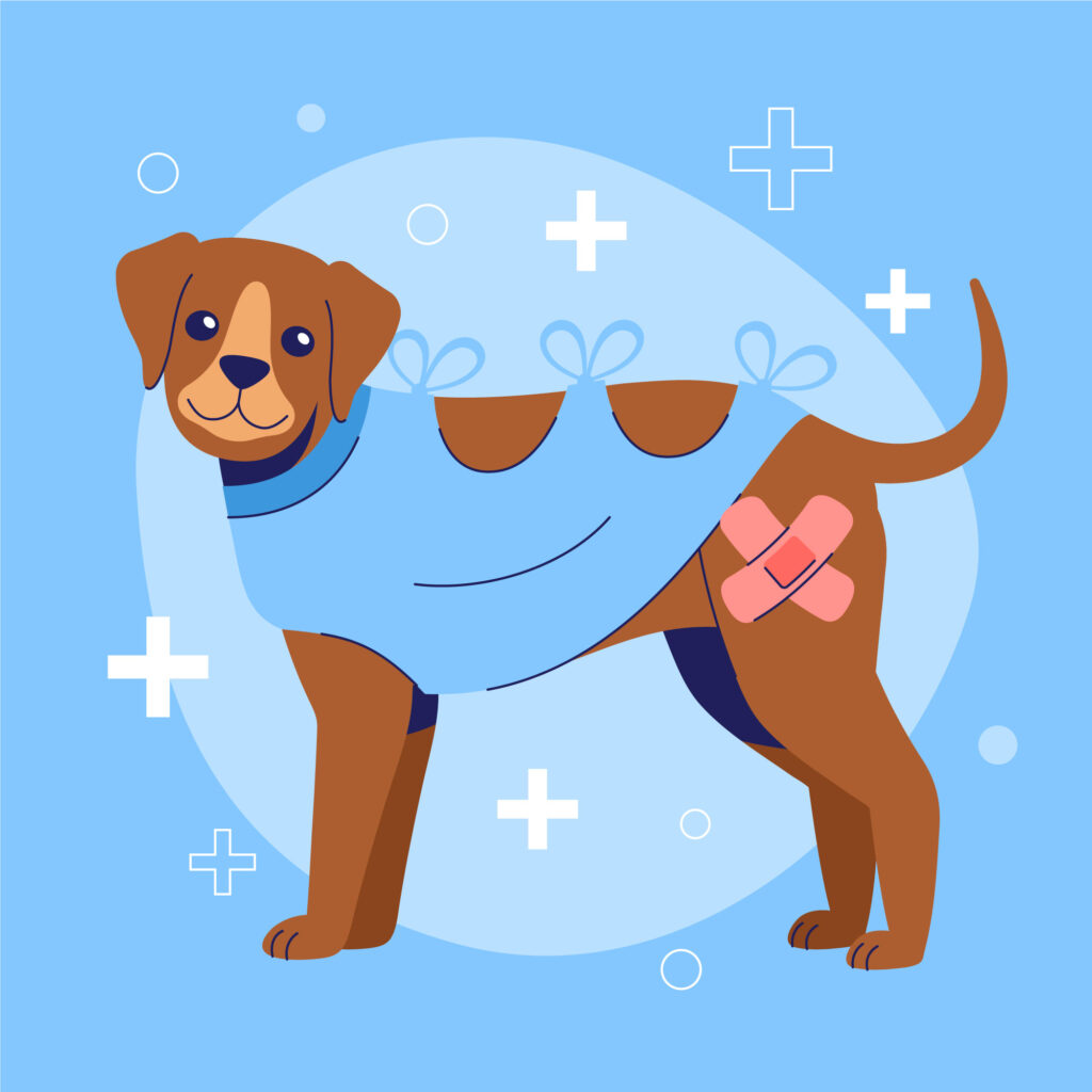 🐾 Best CBD Products for Dogs with Joint Issues: A Pet Owner’s Guide to Natural Relief