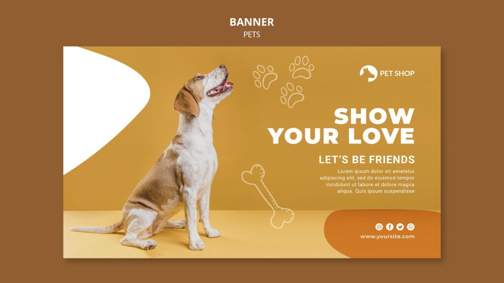 🐾 CBD for Pets: What Vets Are Recommending in 2025