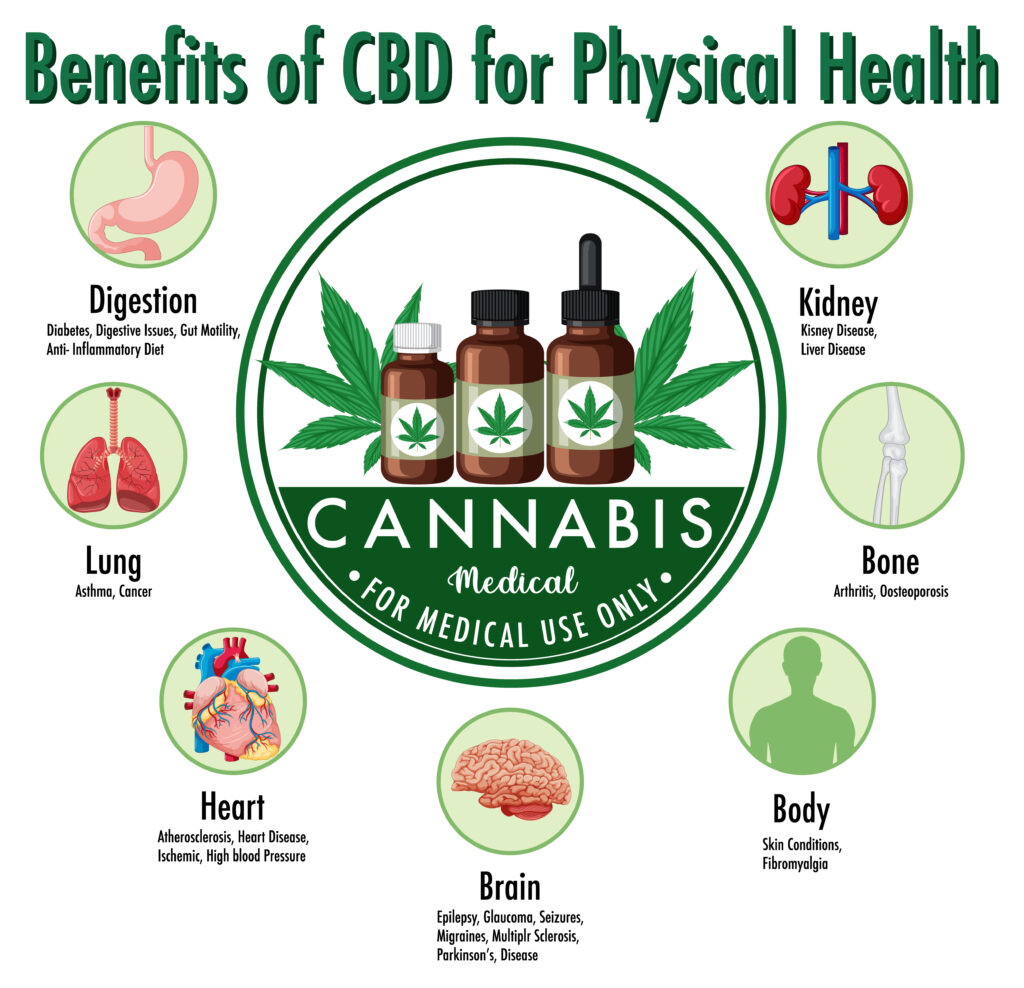 🌿 The Difference Between CBD and THC: What You Need to Know
