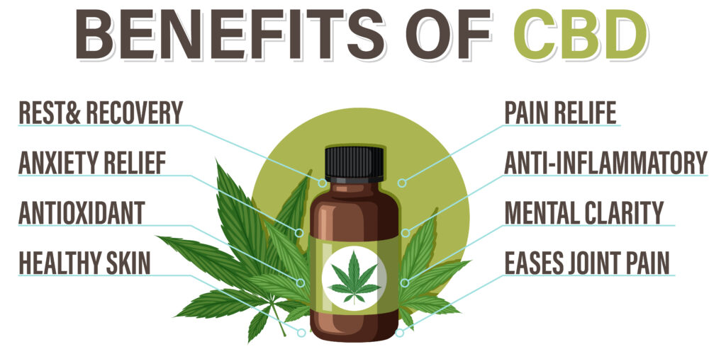 How Long Does CBD Stay in Your System?