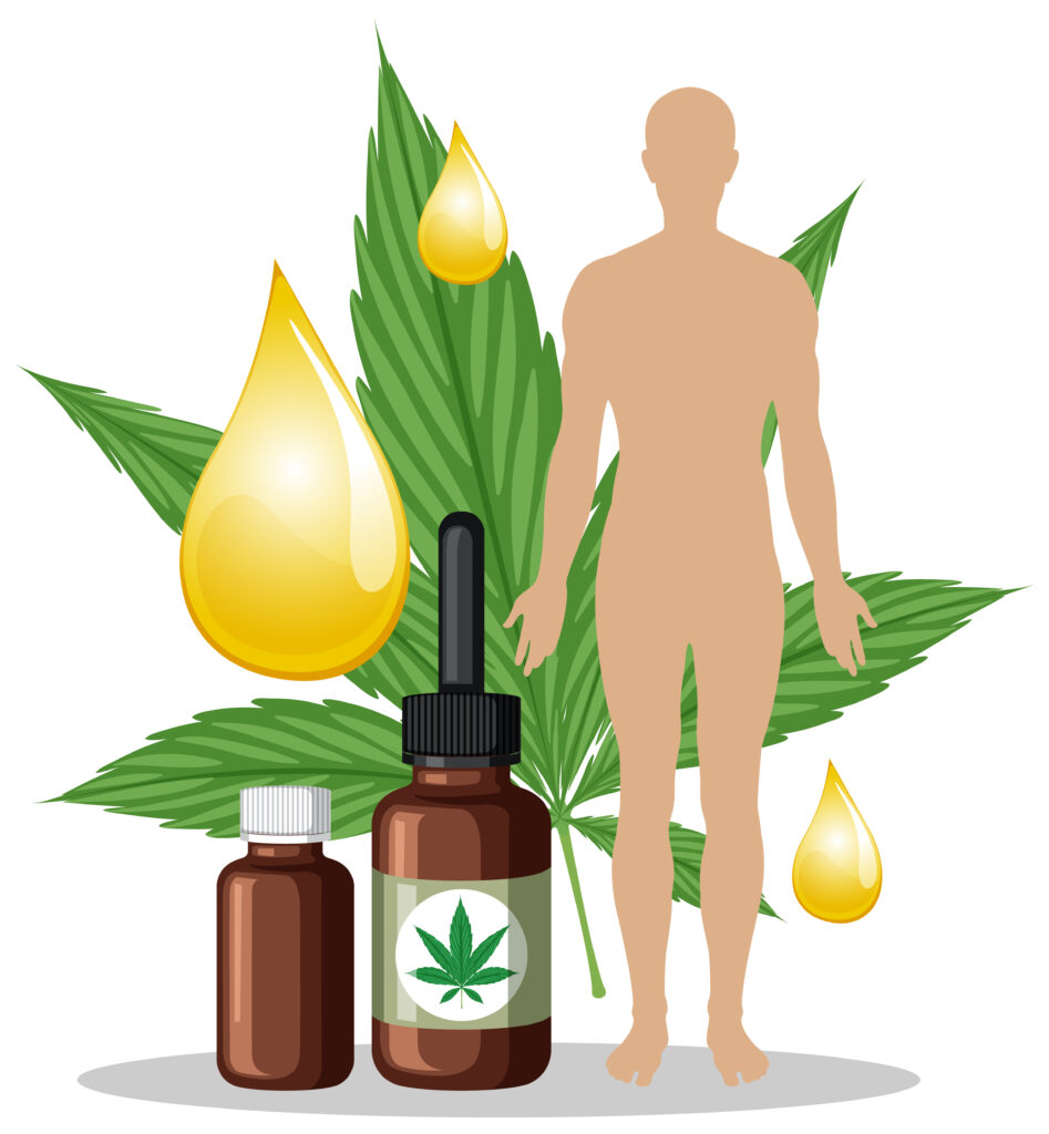 How Long Does CBD Stay in Your System?