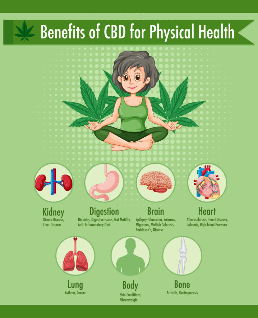 How CBD Interacts with the Endocannabinoid System: A Deep Dive into Natural Balance